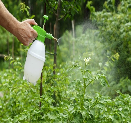 Liquid Agrochemical Formulations