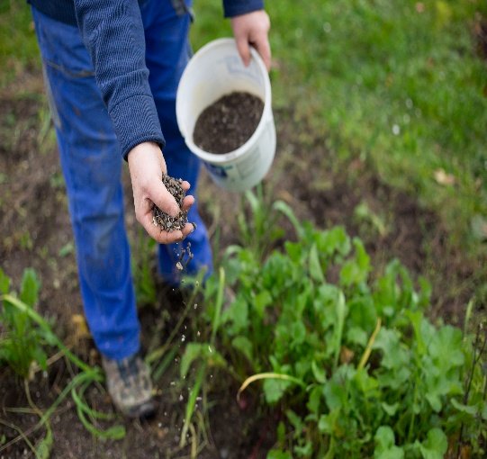 Carrier in Granular Pesticides