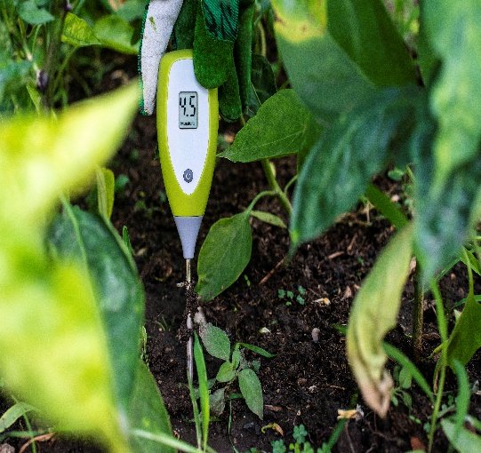 Soil-Applied Pesticides