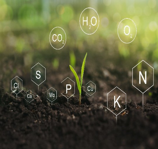 Pesticide Formulations