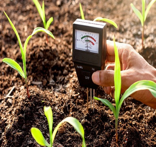 Pesticide Formulations