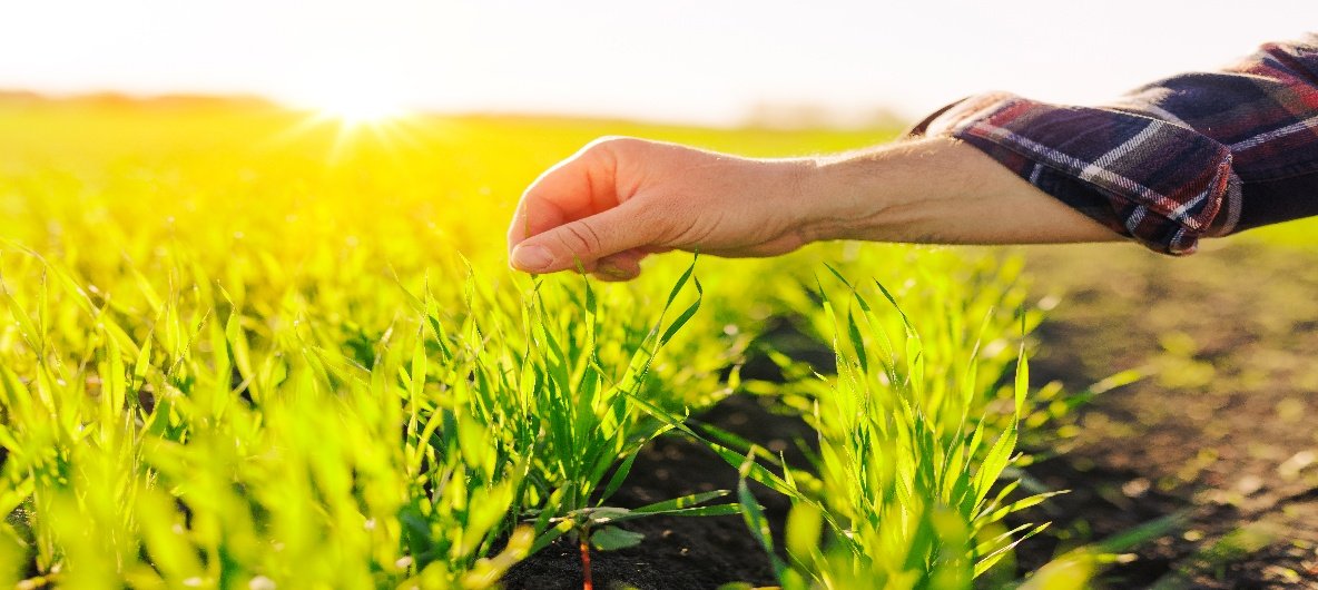 Agro technical support