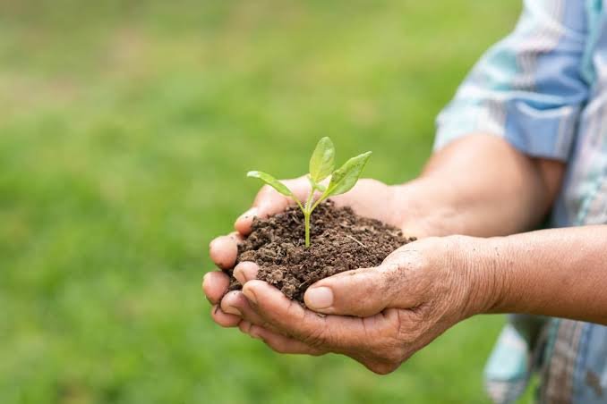 Silica Sand benefits